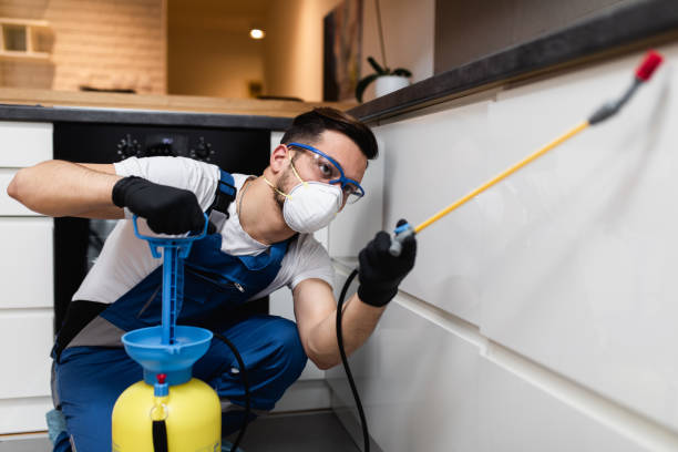 Best Exterminator Services  in Brooktrails, CA