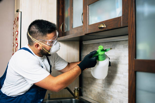 Best Best Pest Control Companies  in Brooktrails, CA