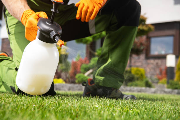 Best Best Pest Control Companies  in Brooktrails, CA