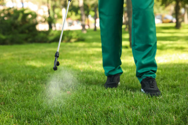 Best Pest Control for Homes  in Brooktrails, CA