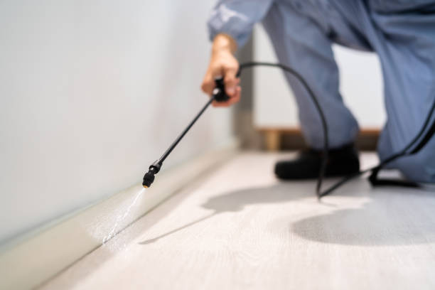 Best Pest Prevention Services  in Brooktrails, CA