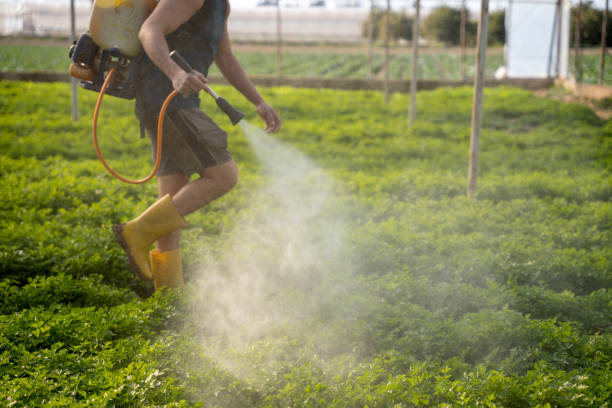 Best Wildlife Control Services  in Brooktrails, CA