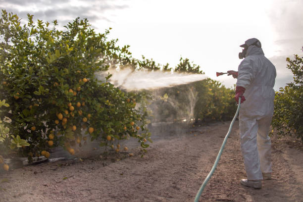 Best Emergency Pest Control  in Brooktrails, CA