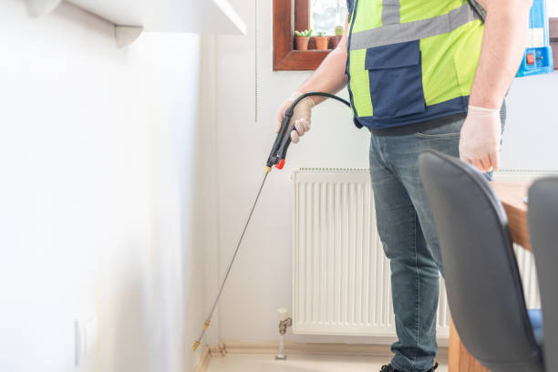 Best Residential Pest Control  in Brooktrails, CA