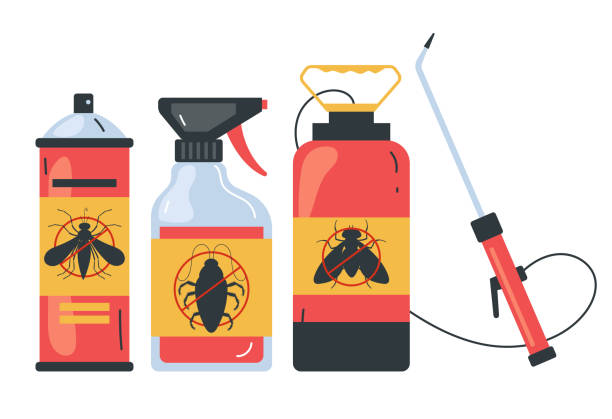 Best Termite Control Services  in Brooktrails, CA