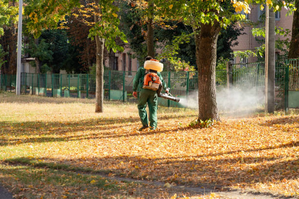Best Cockroach Control Services  in Brooktrails, CA